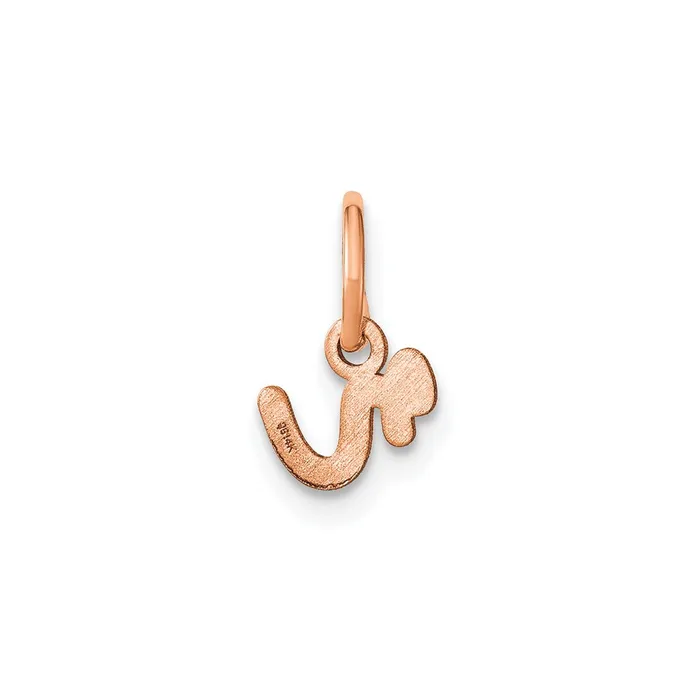 Sterling Silver Roseplated Lower case Letter R Initial Charm TreasureFineJewelers Necklaces